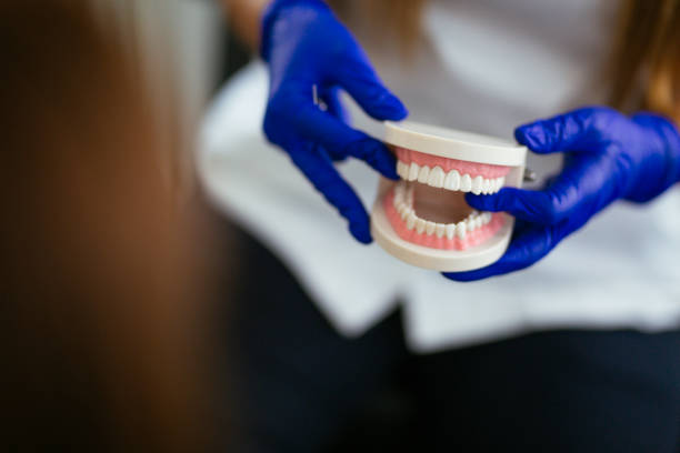 Best Full Mouth Reconstruction  in Granvle, IL